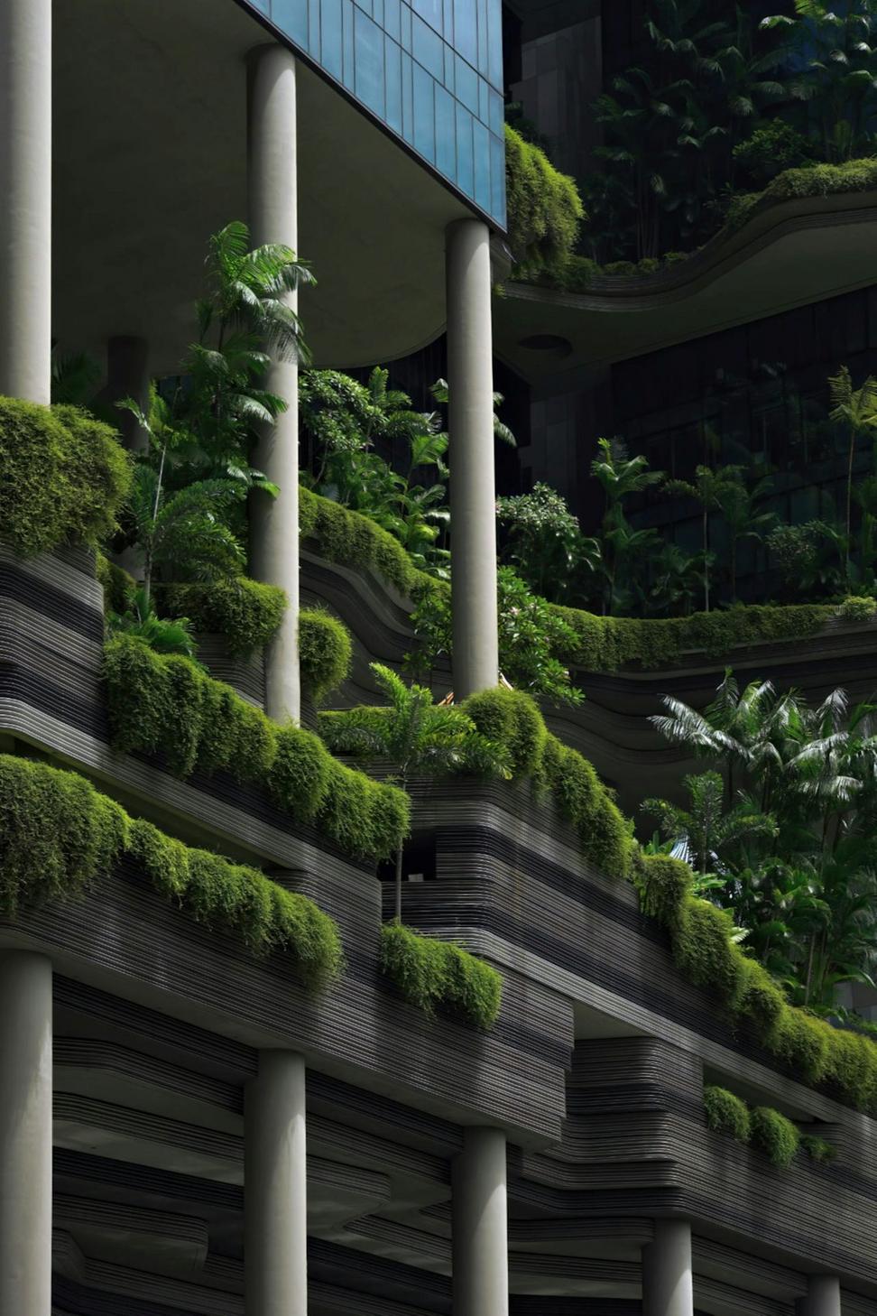 Residential Architecture
