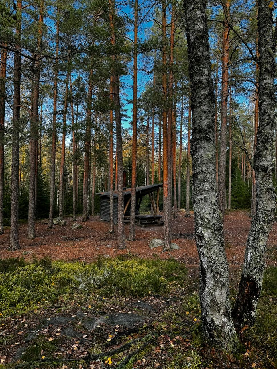 Squamish Valley Cabin